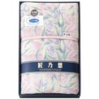 ���T�z ���m�O�͖ȎуL���g�P�b�g