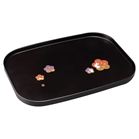 �I�B�h �ԕ������� 12.0����~