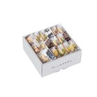 (�y��)�V�R�������� �܂�₩����