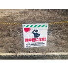 ������V�[�g [�M���ǂɒ���]