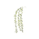 �O���[�����݂��o�C��