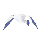 �v�����g�J����