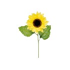 �T���t�����[�X�v���C�i�r�j