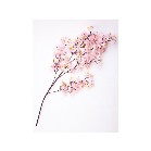 ��}�@�V���N��