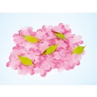 ���@�T�O������Z�b�g