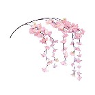 �V�_����