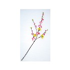 �~�b�N�X�X�v���C�@�؂̉ԁ^��