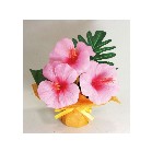 �~�j�~�j�|�b�g�n�C�r�X�J�X�@�s���N