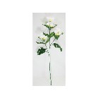 �v�������A�X�v���C�@�z���C�g