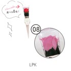 Ԃ̃J^`̓ ~jP[u[P^08 CgsN