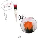 Ԃ̃J^`̓ ~jP[u[P^13 IW