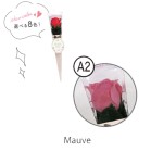 Ԃ̃J^`̓ ~jP[u[P^A2 [