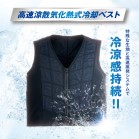 �C���M�x�X�g L