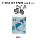 y6ח\@\tIzCOOL lbNO z_ HONDA JuƃlR cub & cat zCg MTCY