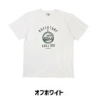 LAND CRUISER 70vgTEE (M/L/XL) ItzCg