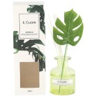 CNI[fBt[U[@POO@u[ANA