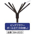 �r�b�N�t�����[�|�[�����āi�U�{�����j