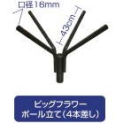 �r�b�N�t�����[�|�[�����@���̂݁i�S�{�����j