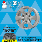 BIZSPO 15-6.0J DUNLOP SV01 195/80R15 107/105L C`1䕪yEibgEg݁EoXz