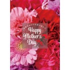 �`�P�|�X�^�[�@�J�[�l�[�V�������b�h