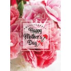 �`�P�|�X�^�[�@�J�[�l�[�V�����s���N