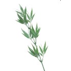 �j���[�}���@�T�T����