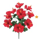 �n�C�r�X�J�X�u�b�V��