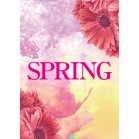 �`�P�|�X�^�[�@�K�[�x��