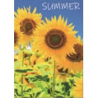 �`�P�|�X�^�[�@�ėp�`