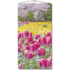 �^�y�X�g���[�i�h���j�s���N�`���[���b�v