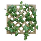 �W�����{�K���|���y�{�[���P�T�O���t�z