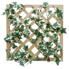 �O���[�����e�B�X�@�I�����_�A�C�r�[