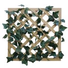 �O���[�����e�B�X�@�C���O���b�V���A�C�r�[