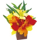 �ȈՌ^�@�o���u�[�X�^���h�@�y���i�t�z