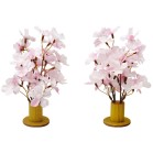 �a���~�j�X�^���h�Q�Z�b�g