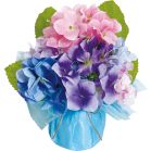 �J���t�����������X�^���h