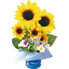 �q�}�����E�F�[�u�X�^���h