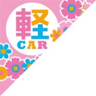 f^z|bvi1Zbg4gj lČyCAR-