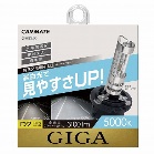 GHB 250 GIGA HIDou@X[p[NA D2R@D2S@5000L@3100lm