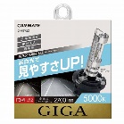 GHB 950 GIGA HIDou@X[p[NA@D4R D4S 5000K 2700lm