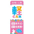 m{ ɐlC yCAR sN
