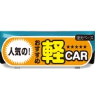 yԗpP[ACTCZbg lĈߌyCAR