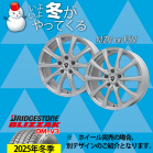 MZVorFSV 16-6.5J BRIDGESTONE DM-V3 215/70R16 C`1䕪yEibgEg݁EoXz