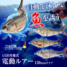 USB[d dA[