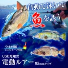 USB[d dA[