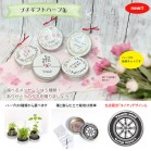 v`Mtgn[u / bsOςݔ[i