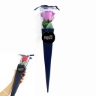 Ԃ̃J^`̓ P[u[PlCr[^p[v