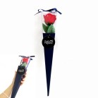 Ԃ̃J^`̓ P[u[PlCr[^bh