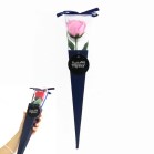 Ԃ̃J^`̓ P[u[PlCr[^sN