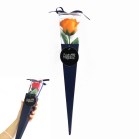 Ԃ̃J^`̓ P[u[PlCr[^IW